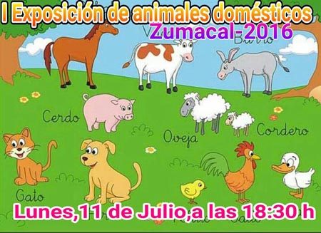 animales domesticos