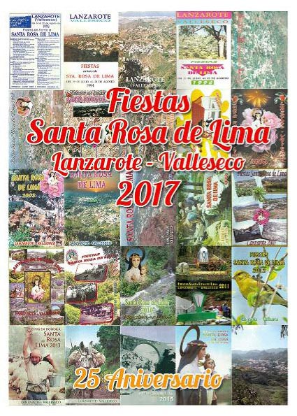cartel Fiesta rosa 17