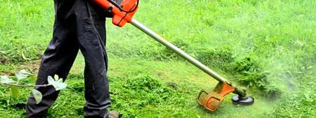 curso desbrozador