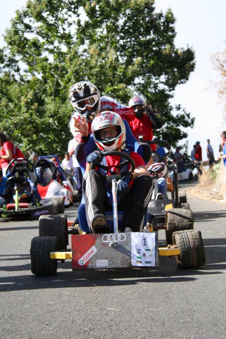 carretones 2016